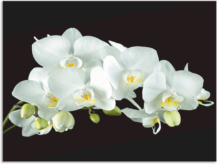 Artland Keukenwand Witte orchidee op een zwarte achtergrond Aluminium spatscherm met plakband gemakkelijke montage - Foto 4