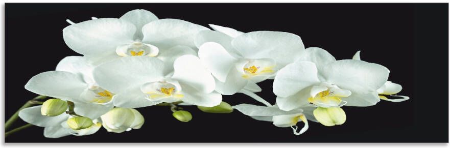 Artland Keukenwand Witte orchidee op een zwarte achtergrond Aluminium spatscherm met plakband gemakkelijke montage - Foto 4