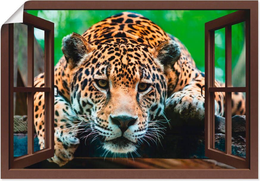 Artland Poster Blik uit het venster Zuid-Amerikaanse jaguar als artprint van aluminium artprint op linnen muursticker of poster in verschillende maten