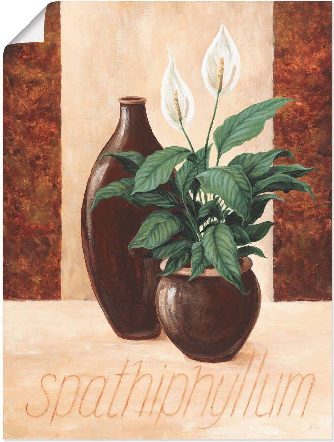Artland Poster Spathiphyllum Lepelplant