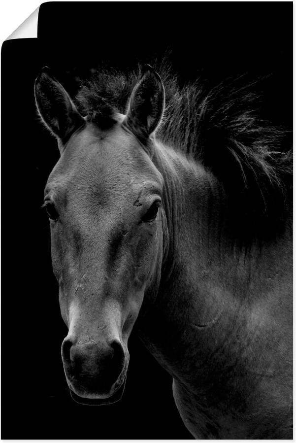 Artland Poster Wild paard als artprint van aluminium artprint op linnen muursticker of poster in verschillende maten - Foto 5