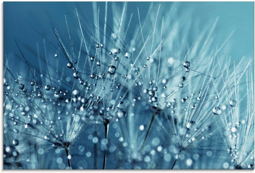 Artland Print op glas Blauwe glinsterende pluizenbol