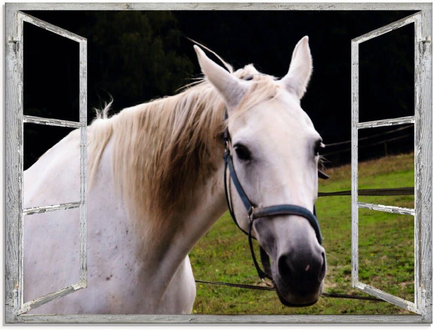 Artland Print op glas Blik uit het venster wit paard - Foto 4