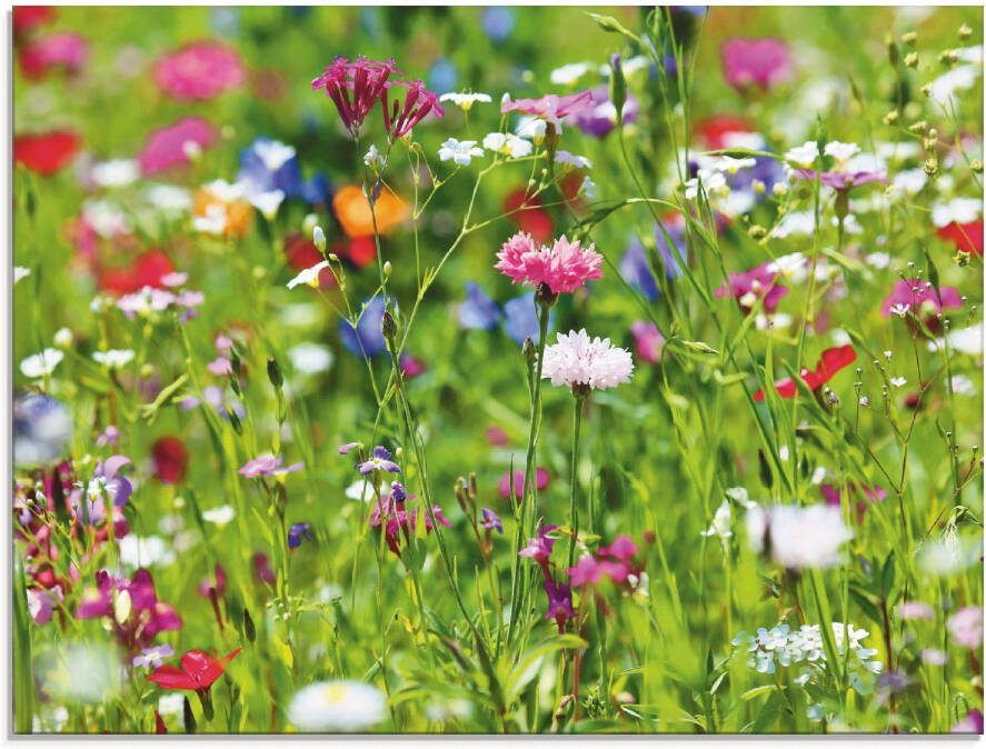 Artland Print op glas Bloemenweide I in verschillende maten