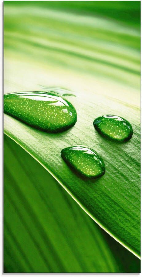 Artland Print op glas Close-up van een groen plantenblad - Foto 3