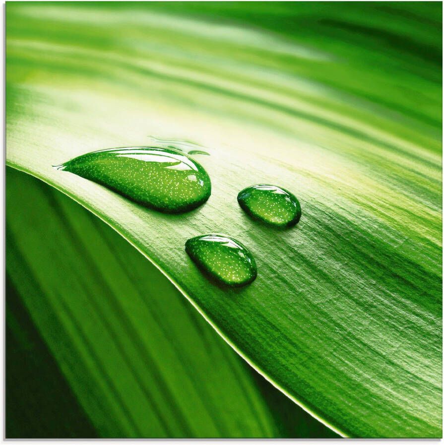 Artland Print op glas Close-up van een groen plantenblad - Foto 3