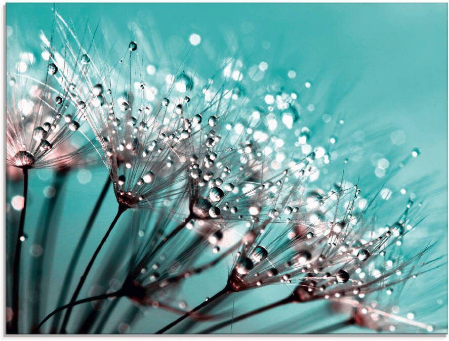 Artland Print op glas Glinsterende pluizenbol I - Foto 6