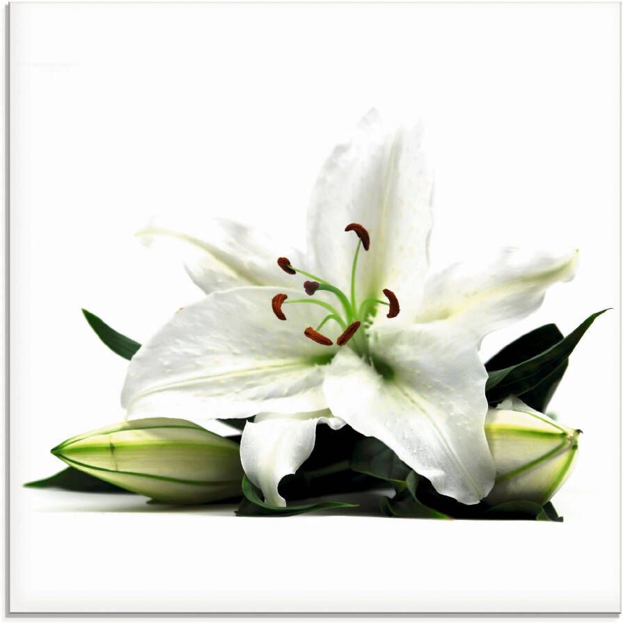 Artland Print op glas Grote lelie in verschillende maten - Foto 5