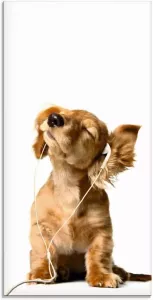 Artland Print op glas Jonge hond die naar muziek door hoofdtelefoon luistert (1 stuk)