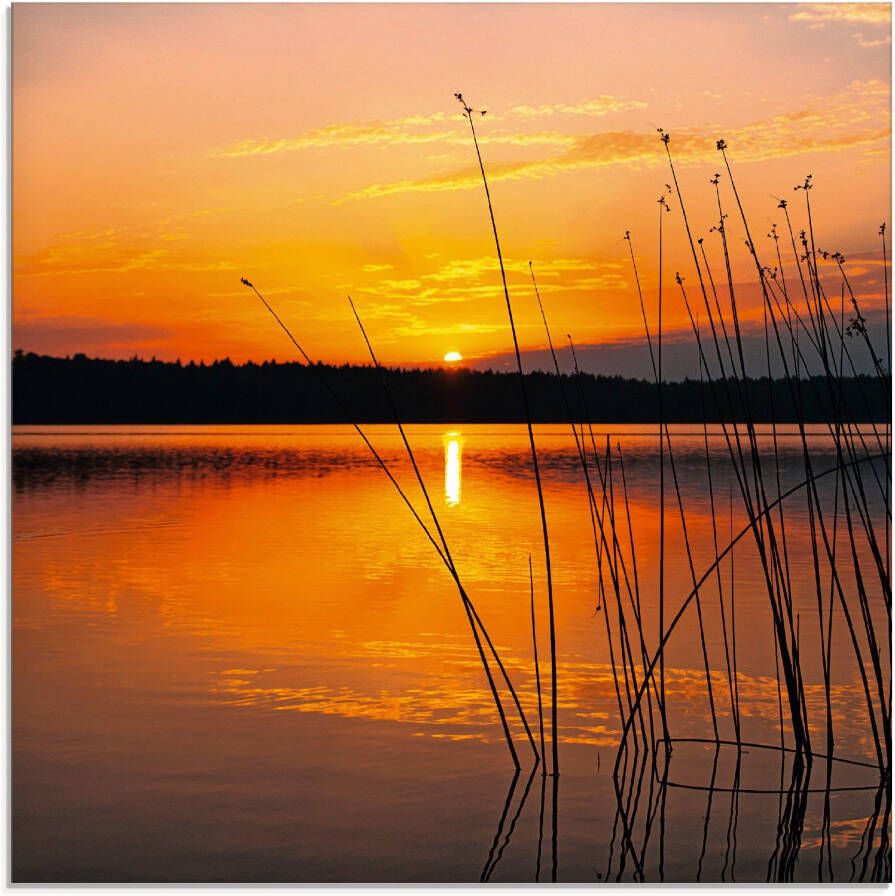 Artland Print op glas Landschap met zonsopkomst
