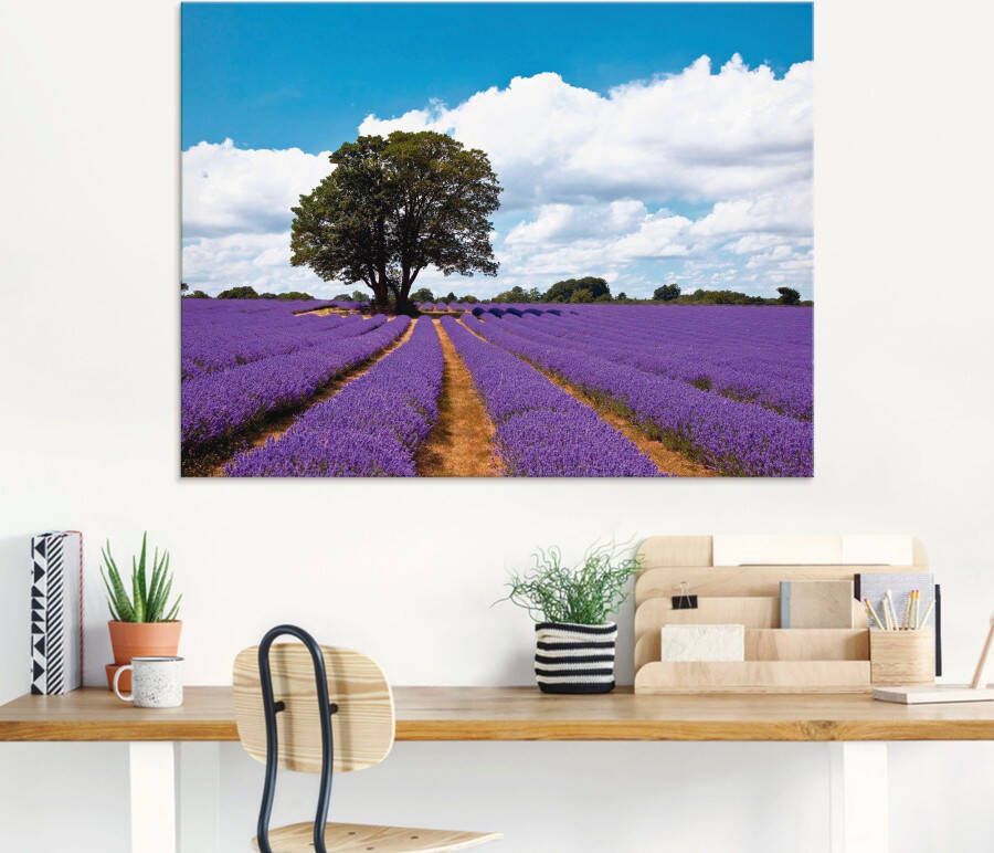 Artland Print op glas Mooi lavendelveld in de zomer - Foto 2