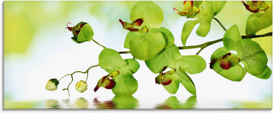 Artland Print op glas Mooie orchidee met groene achtergrond - Foto 3