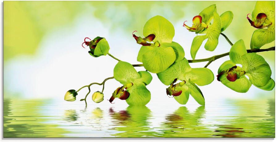 Artland Print op glas Mooie orchidee met groene achtergrond - Foto 3