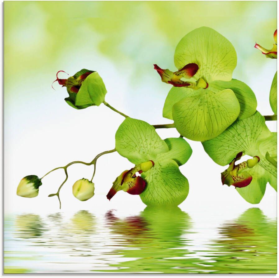 Artland Print op glas Mooie orchidee met groene achtergrond - Foto 3