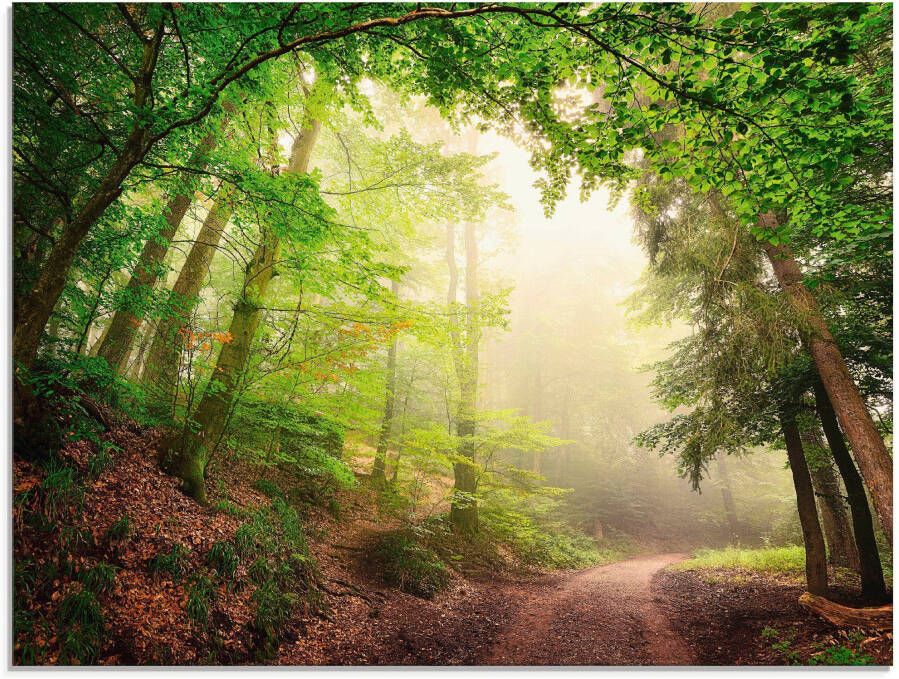 Artland Print op glas Natuurlijke bogen door bomen - Foto 3