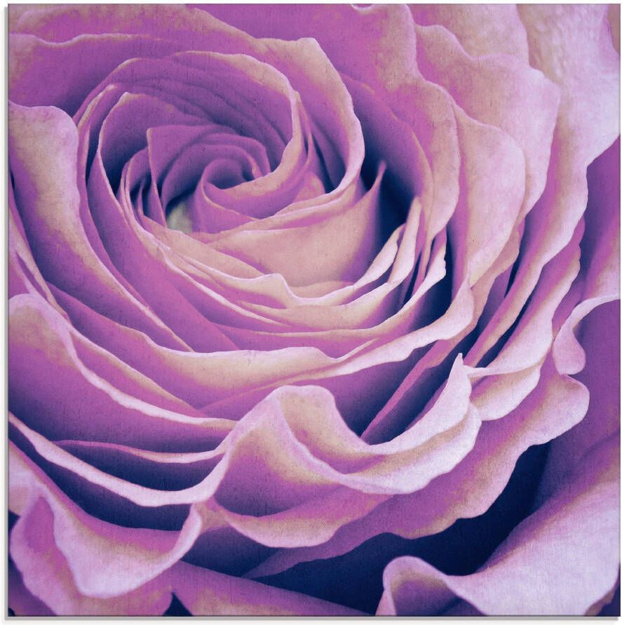 Artland Print op glas Paars Roos in verschillende maten - Foto 6