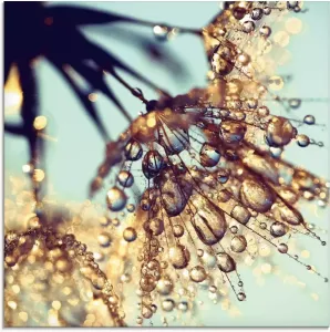 Artland Print op glas Pluizenbol gouden regen (1 stuk)