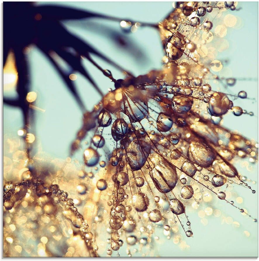 Artland Print op glas Pluizenbol gouden regen - Foto 4