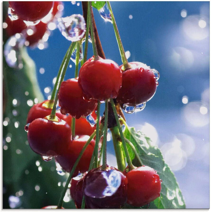 Artland Print op glas Rode kersen in de zomerregen - Foto 1