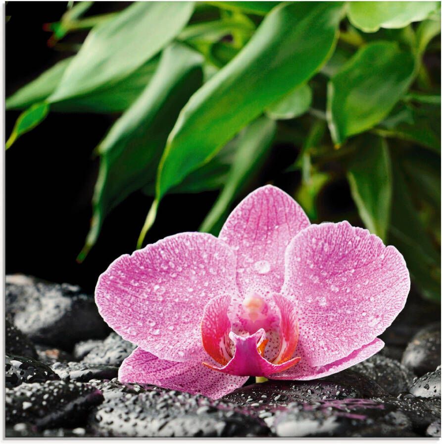 Artland Print op glas Roze orchidee op zwarte zen stenen