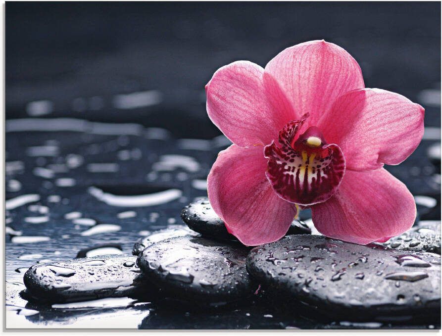 Artland Print op glas Stilleven met kiezel en een orchidee - Foto 5