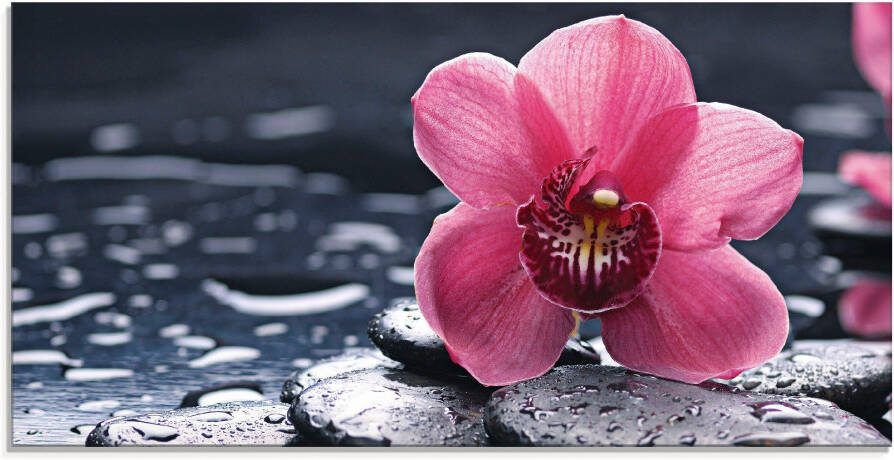 Artland Print op glas Stilleven met kiezel en een orchidee - Foto 5