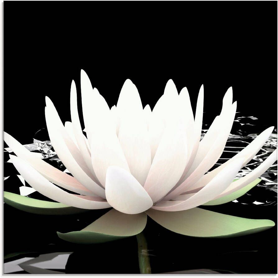 Artland Print op glas Twee lotusbloemen op het water - Foto 3