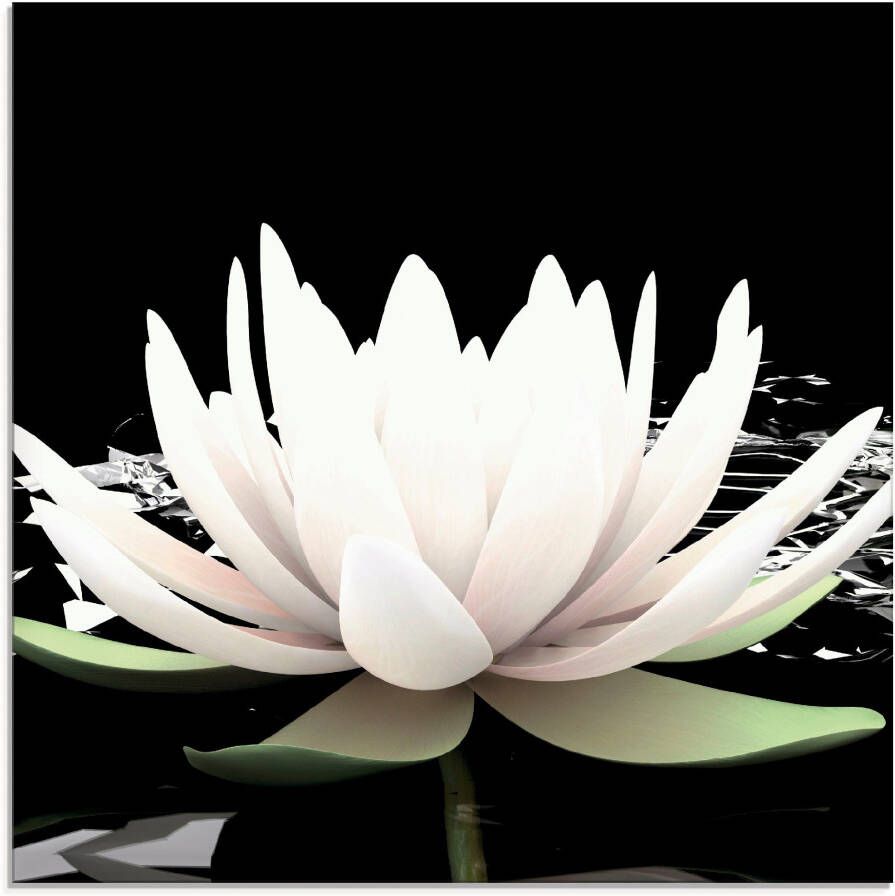 Artland Print op glas Twee lotusbloemen op het water - Foto 3