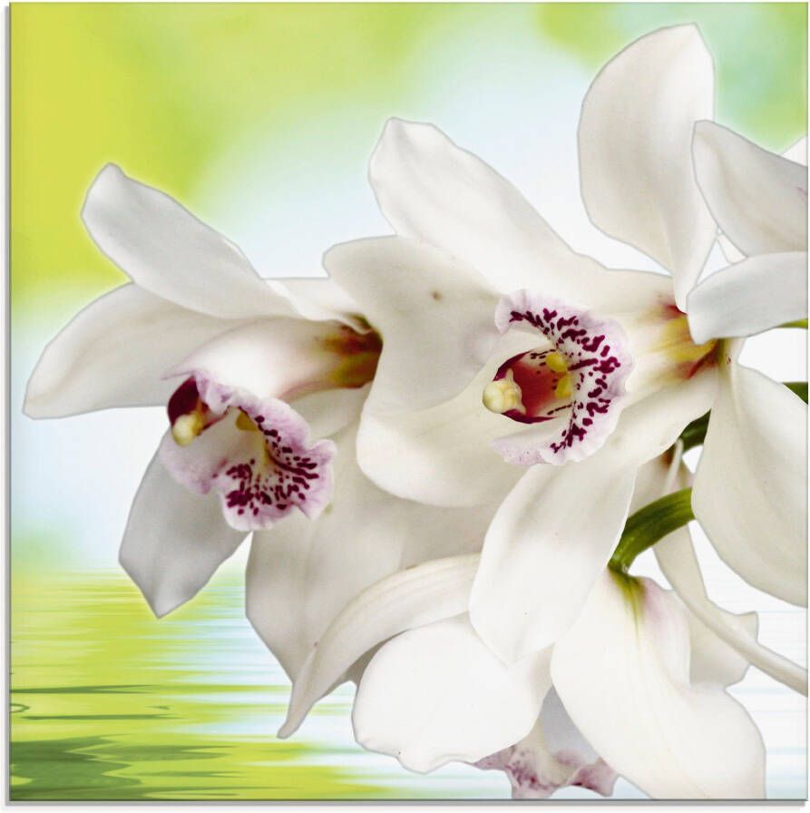 Artland Print op glas Witte orchidee in verschillende maten - Foto 2