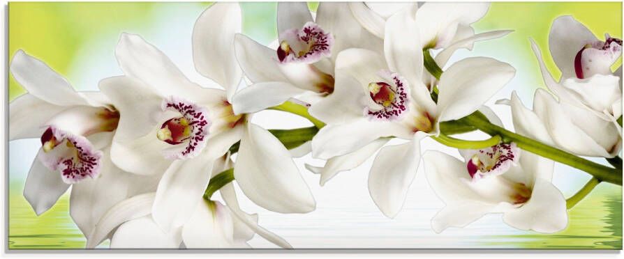 Artland Print op glas Witte orchidee in verschillende maten - Foto 2