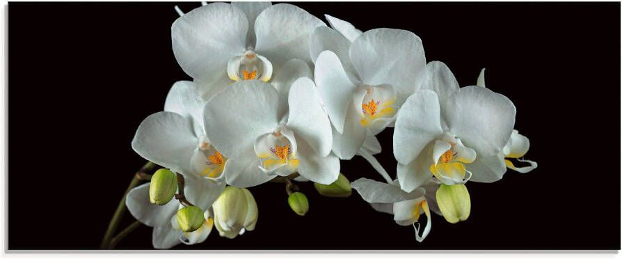 Artland Print op glas Witte orchidee op een zwarte achtergrond - Foto 3
