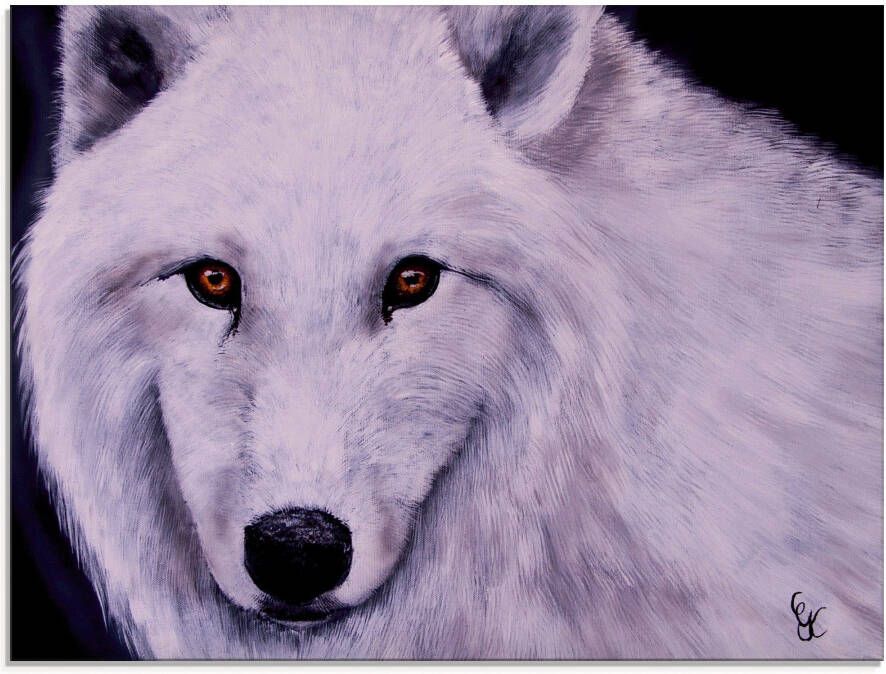 Artland Print op glas Witte wolf in verschillende maten - Foto 4