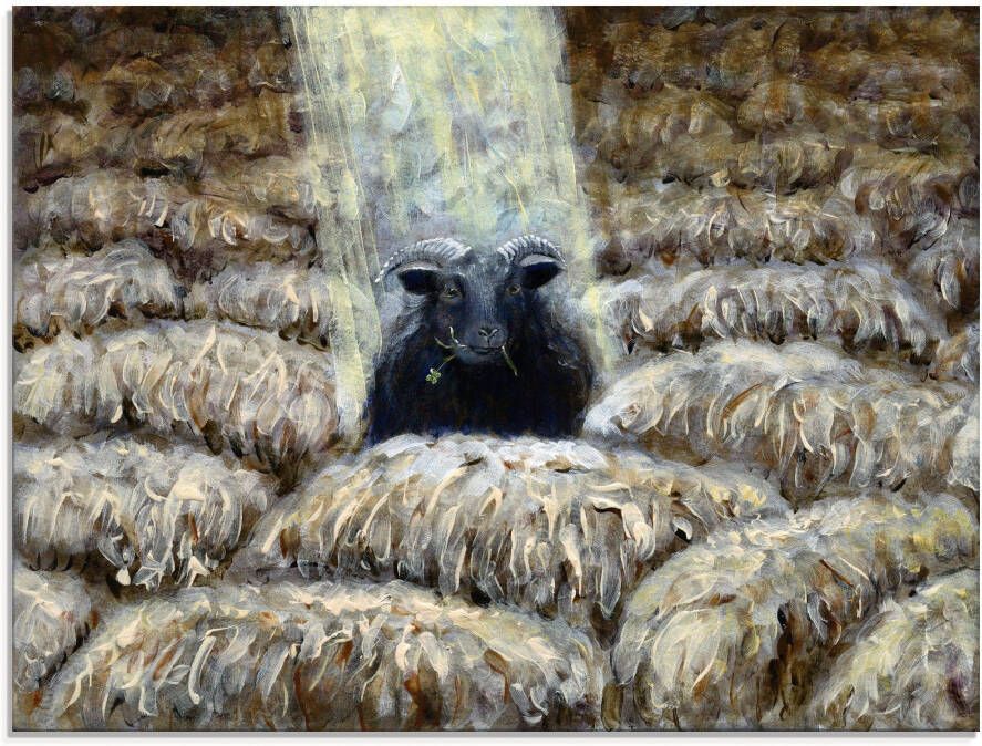 Artland Print op glas Zwarte schaap in verschillende maten - Foto 4