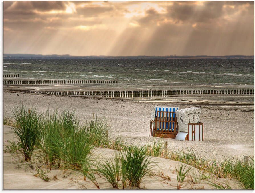 Artland Print op glas Zwarte struik strand op eiland Poel - Foto 3