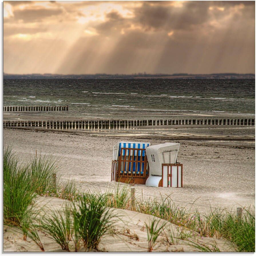 Artland Print op glas Zwarte struik strand op eiland Poel - Foto 3