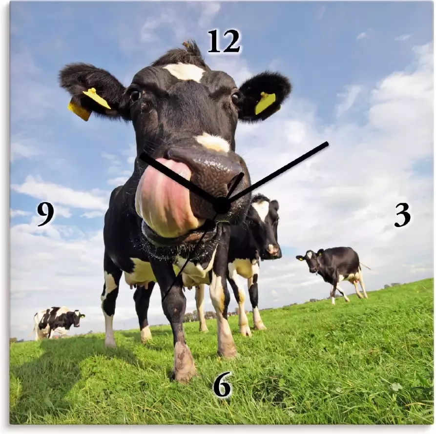 Artland Wandklok Holstein-koe met enorme tong geluidloos zonder tikkende geluiden niet tikkend geruisloos naar keuze: radiografische klok of kwartsklok moderne klok voor woonkamer keuken etc. stijl: modern