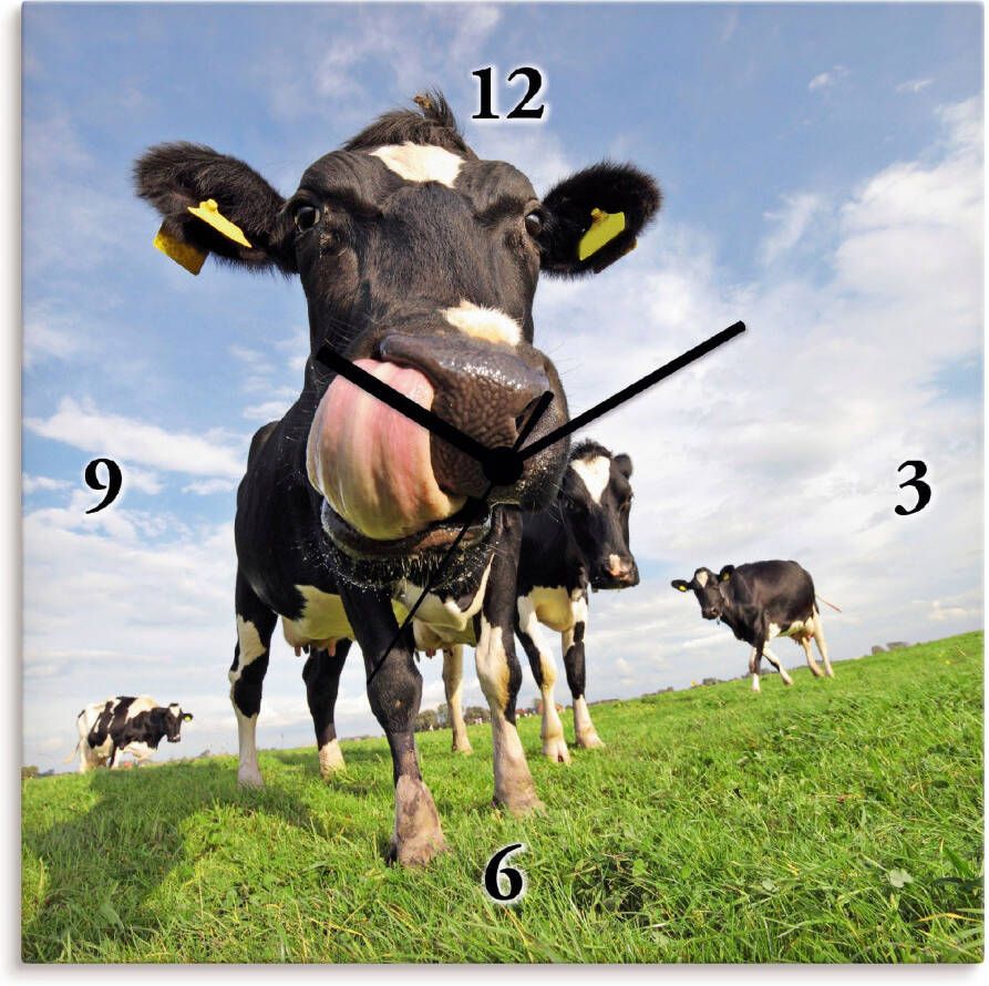 Artland Wandklok Holstein-koe met enorme tong optioneel verkrijgbaar met kwarts- of radiografisch uurwerk geruisloos zonder tikkend geluid - Foto 4