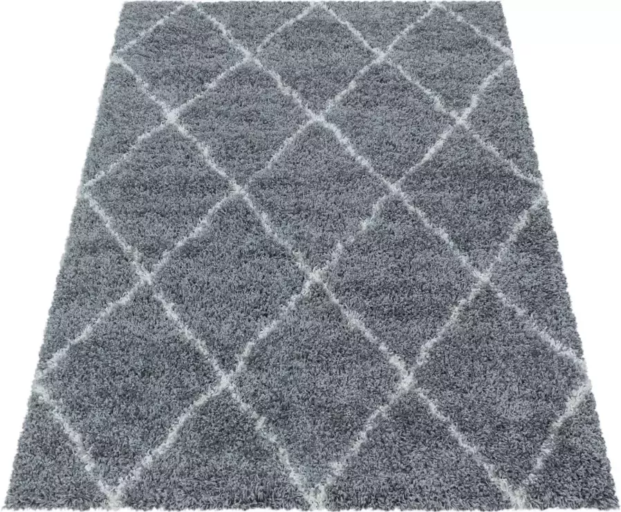 Adana Carpets Berber vloerkleed Agadir Lines Grijs Creme 200x290cm - Foto 6