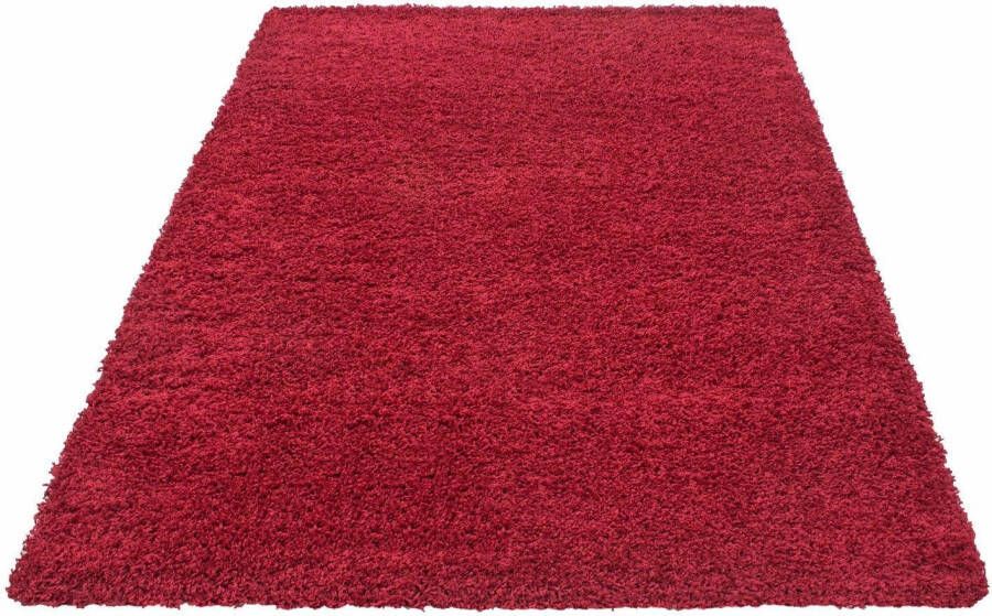 Adana Carpets Vloerkleed DreamShaggy Turkis (120x170)Cm