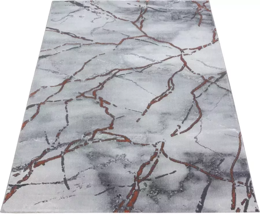 Adana Carpets Modern vloerkleed Marble Branch Grijs Bruin 120x170cm - Foto 3