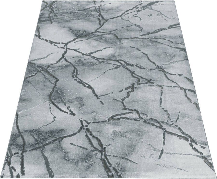 Adana Carpets Modern vloerkleed Marble Branch Grijs Zilver 120x170cm