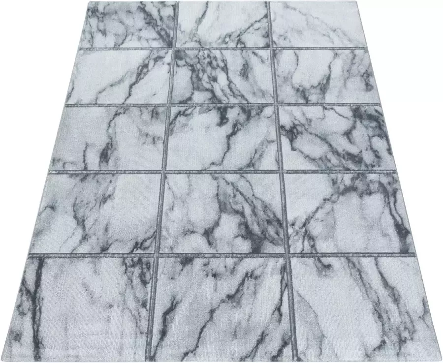 Adana Carpets Modern vloerkleed Marble Box Grijs Zilver 120x170cm - Foto 3