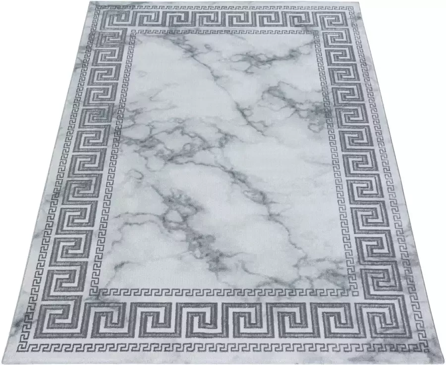 Adana Carpets Modern vloerkleed Marble Edge Grijs Zilver 200x290cm - Foto 3