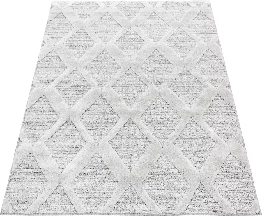 Adana Carpets Scandinavisch vloerkleed Pitea Diamond Grijs 280x370cm