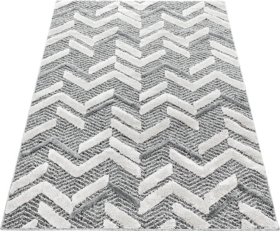 Adana Carpets Scandinavisch vloerkleed Pitea Panel Grijs Creme 280x370cm - Foto 7