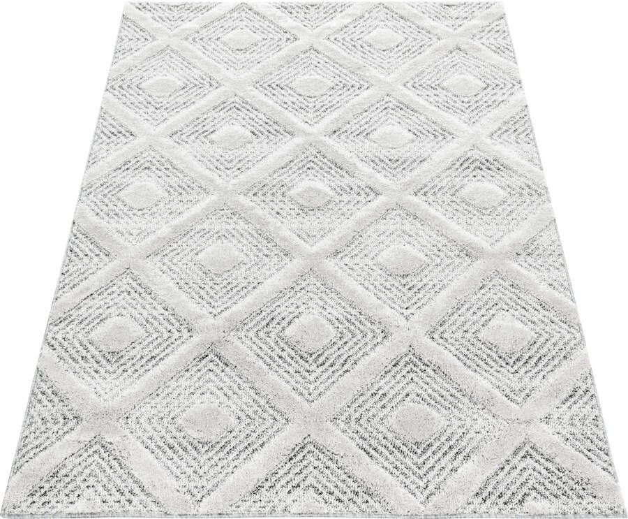 Adana Carpets Scandinavisch vloerkleed Pitea Ethno Creme Grijs 280x370cm - Foto 7