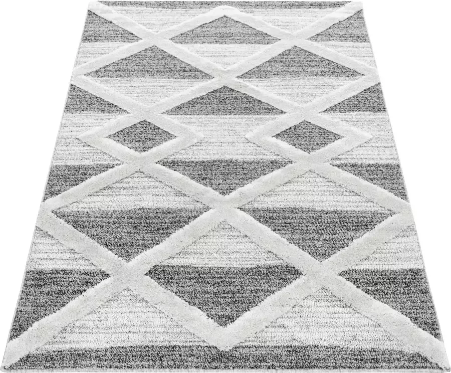Adana Carpets Scandinavisch vloerkleed Pitea Lines Grijs Creme 160x230cm - Foto 1