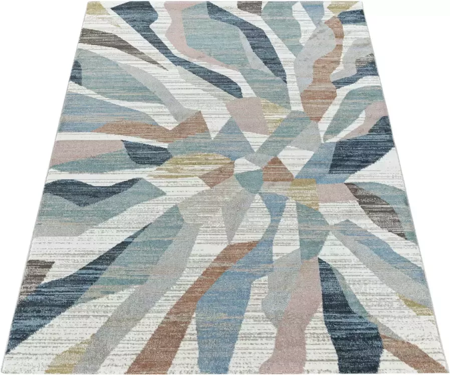 Adana Carpets Modern vloerkleed Regal Crush Multicolor 160x230cm