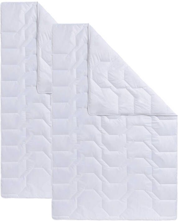 Beco Synthetisch dekbed Dekbeddenset Rügen 135x200 of 155x220 cm zomer of winter Normaal - Foto 3