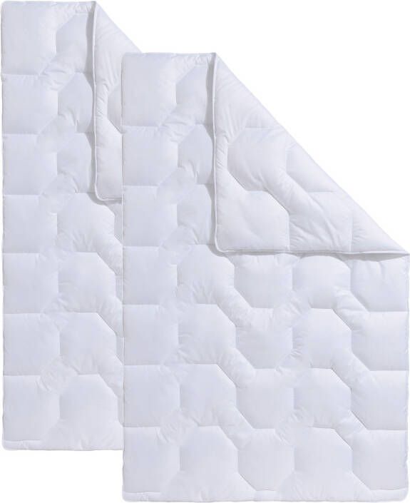 Beco Synthetisch dekbed Dekbeddenset Rügen 135x200 of 155x220 cm zomer of winter Normaal - Foto 3